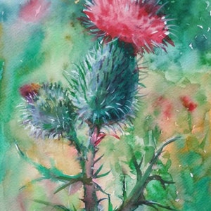 Thistle watercolor print Artwork Floral Print Scottish Thistle Art print by Ann Krasikova