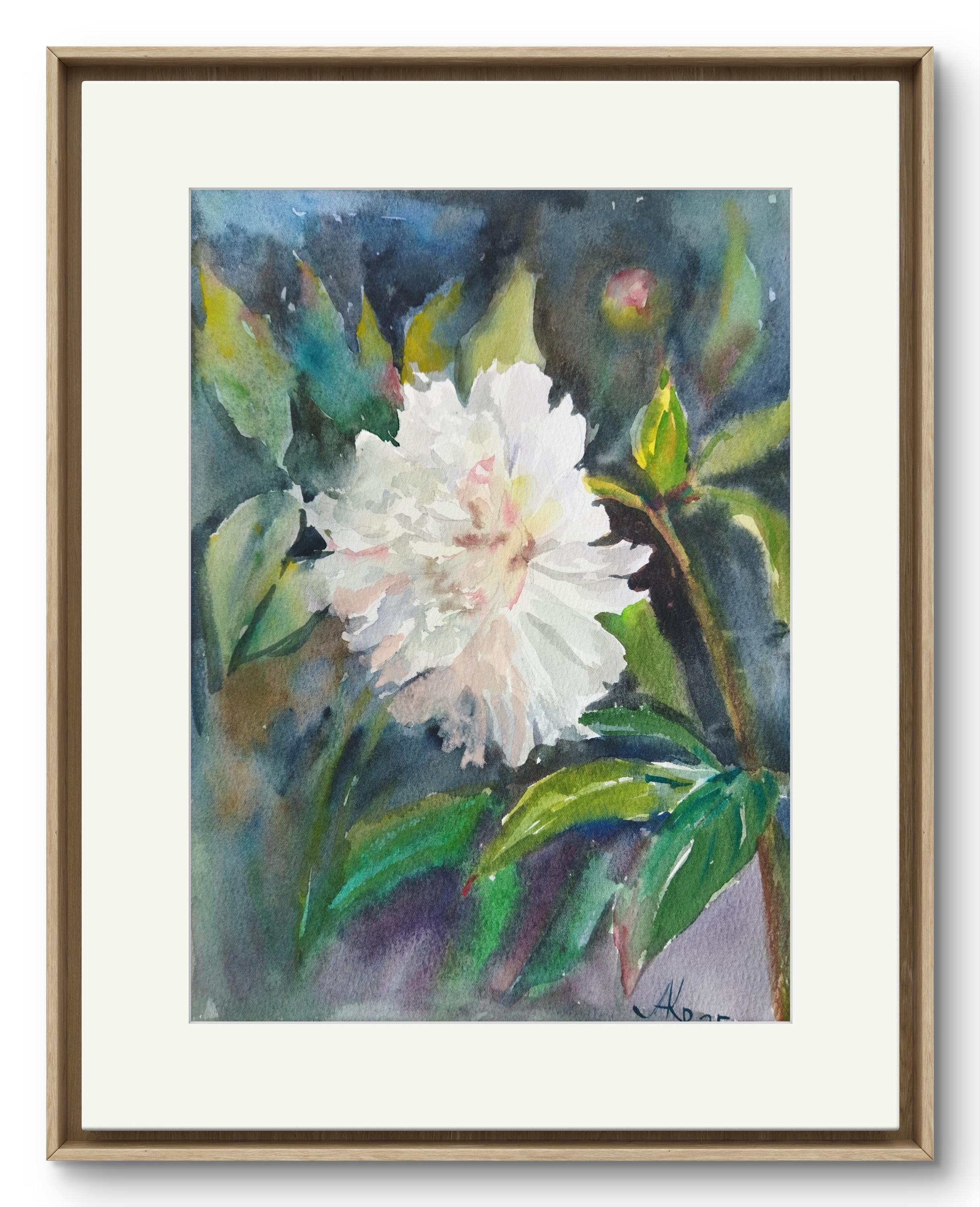 大きい額 白い牡丹の水彩画 大きめ