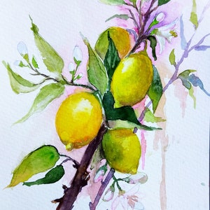 Pintura de limonero Pintura de fruta original de acuarela Pintura de árbol Arte botánico