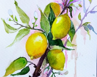 May include: Watercolour painting of a lemon tree branch with four lemons and white blossoms. The lemons are yellow and green, and the blossoms are white with pink accents. The background is a light pink watercolour wash.