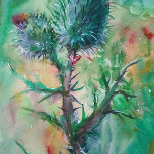 Thistle Painting Original Artwork Floral Painting Scottish Thistle Small Art by Ann Krasikova image 4