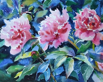 Original Pink Peonies Watercolor Painting: Floral Still Life Wall Art