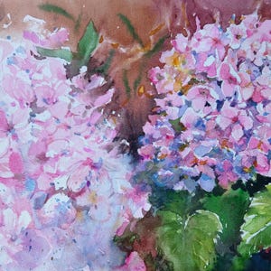 Hydrangea Flower Paintings Watercolor Floral Art Original Wall Art Pink Hydrangeas Art 9 by 12 inches