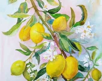 May include: Watercolour painting of a lemon tree branch with yellow lemons and white blossoms. The lemons are clustered together on the branch, and the blossoms are scattered throughout the painting. The background is a soft blue and pink.