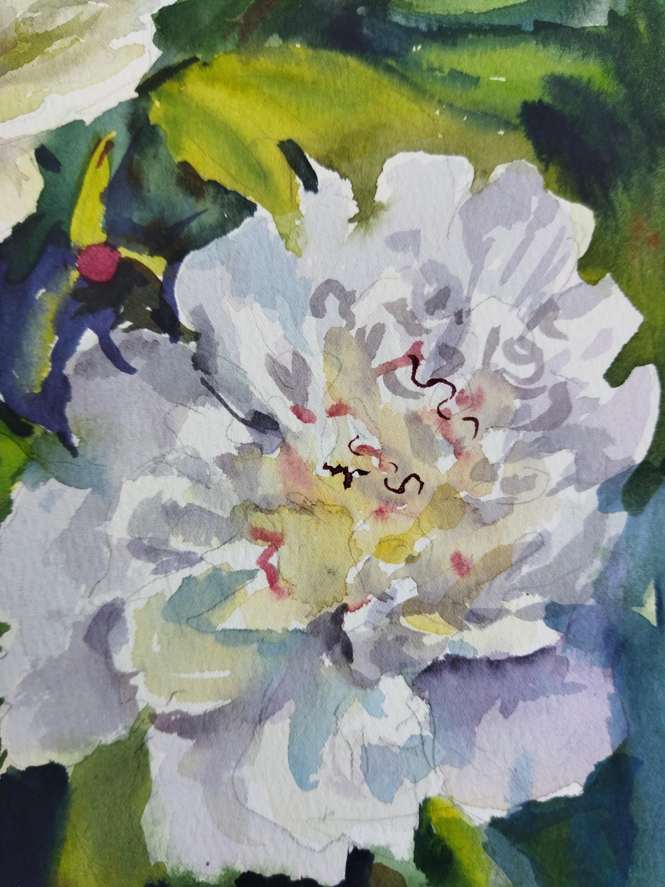 オリジナルの白い牡丹の水彩画：花のアートワーク 8x10インチ - Etsy 日本