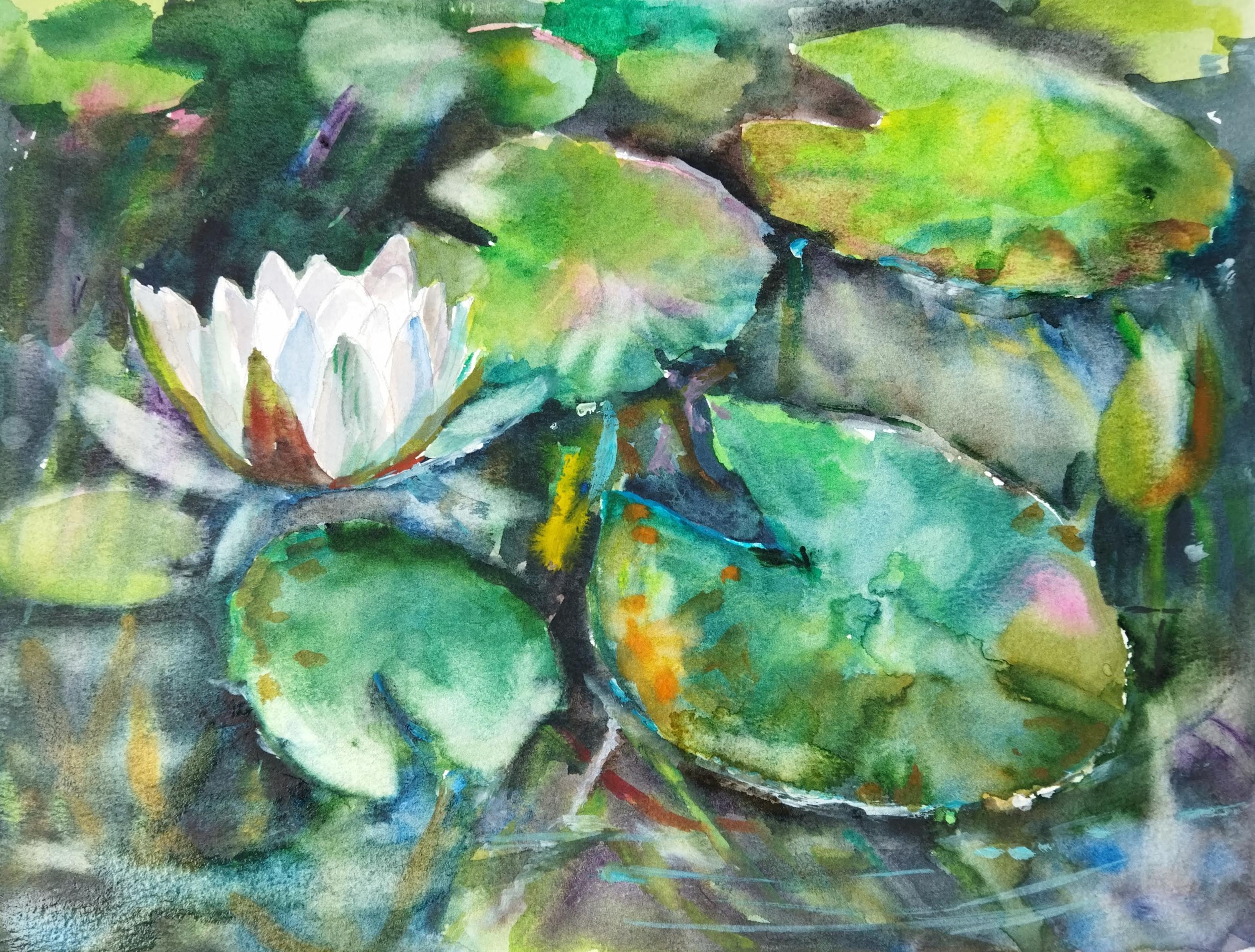 オリジナル睡蓮水彩画：花の池のアート（9x12） - Etsy 日本