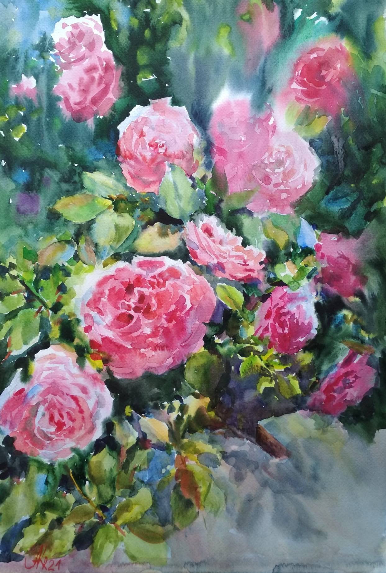 オリジナルのピンクのバラの水彩画：花のボタニカルアート（13.7x19.5
