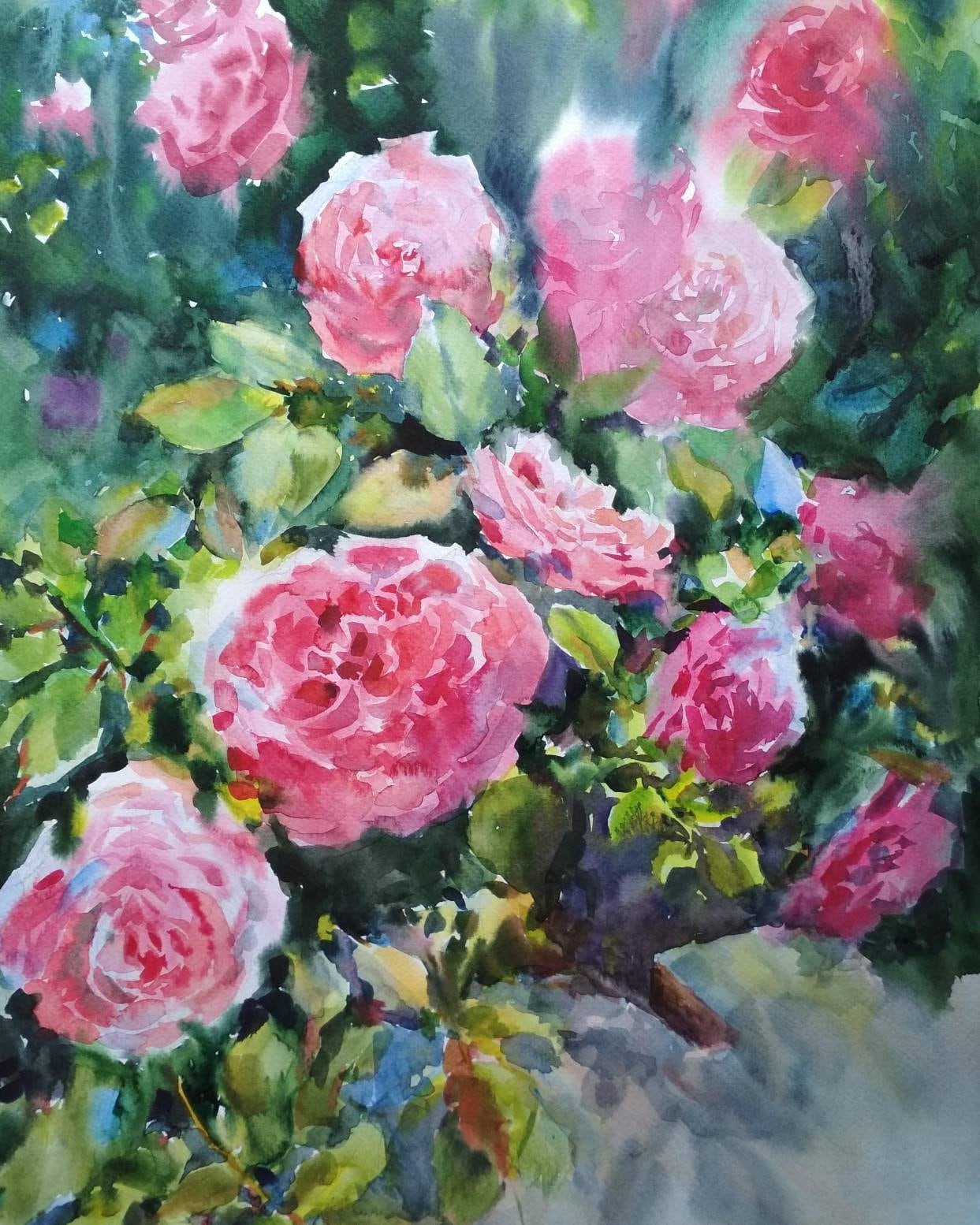 オリジナルのピンクのバラの水彩画：花のボタニカルアート（13.7x19.5