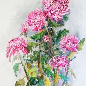 Chrysanthemums  Print - Pink Chrysanthemums  Watercolor Flowers Digital download print Watercolor Flowers Pink peony painting