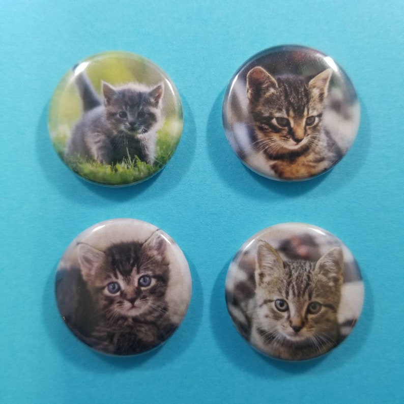 Set of 8 pin back buttons badges pins featuring cute Kittens! Cats! Kitties! Kittens!