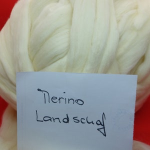 50 grams of Merino sheep combed yarn for spinning, felting and crafting (1 kg = 60.00 euros)