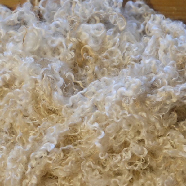 30 Gramm Locken vom Wensleydale Lamm, Puppenhaar, Spinnen, Filzen, Basteln (1 Kg = 250 Euro)