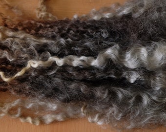 40 grams of colorful curls from Leicester Longwool, doll hair, spinning, weaving, felting, crafting (1 kg = 200 euros)