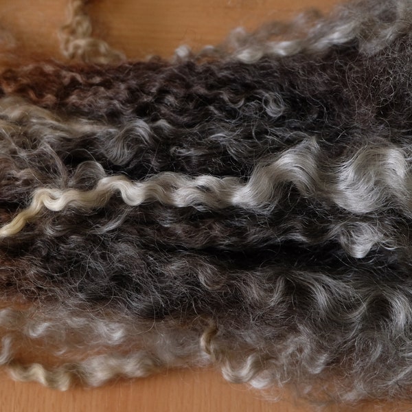 40 Gramm bunte Locken vom Leicester Longwool, Puppenhaar, Spinnen, Weben, Filzen, Basteln (1 kg = 200 Euro)