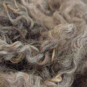 40 grams of curls from Gotland fur sheep (1kg = 136 euros) silver gray or anthracite, doll hair, spinning, felting, weaving, crafting