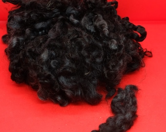 20 grams of black curls from Gotland fur sheep, doll hair, felting, spinning, felting (1 kg = 230.00 euros)