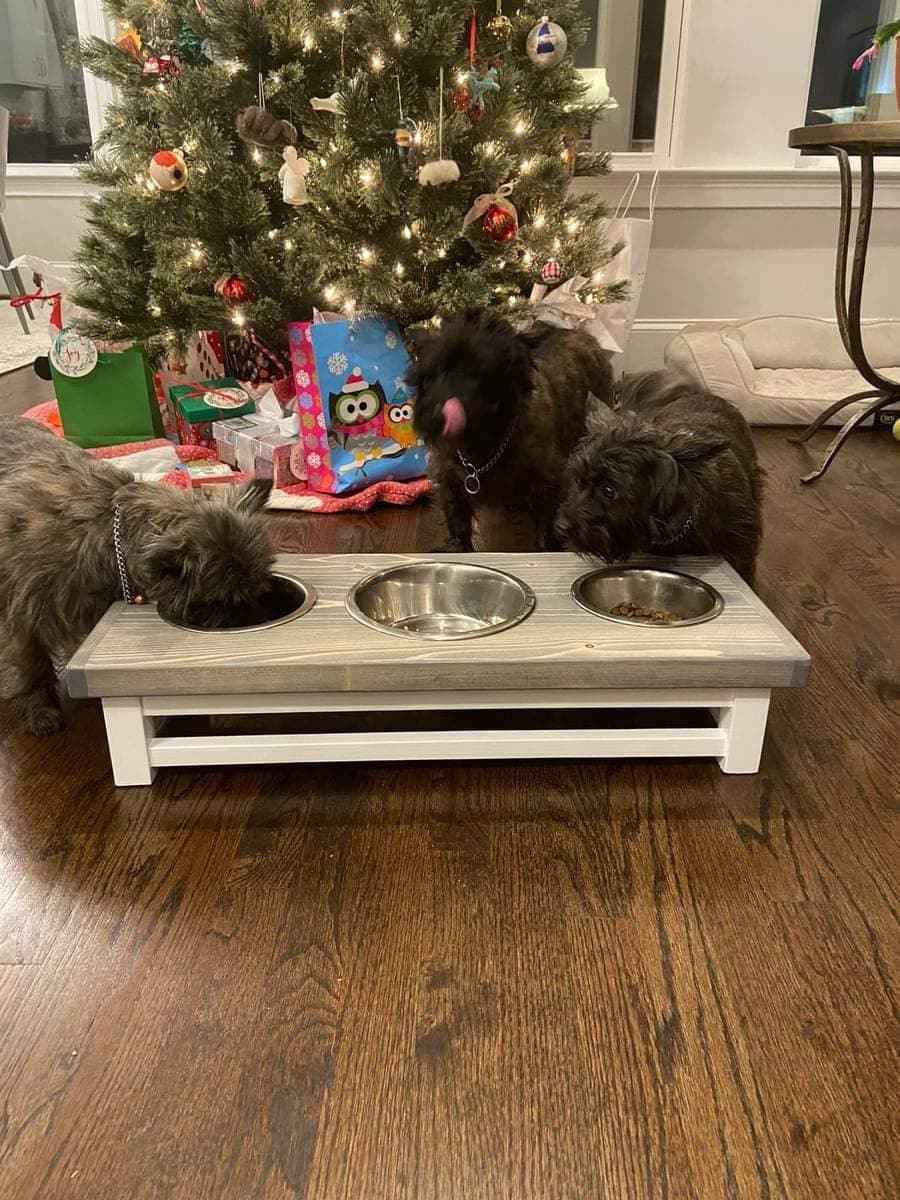 Elevated dog bowls, 3 bowl dog feeder, Dog feeding station for small …
