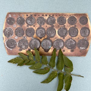 May include: A rectangular, brass-colored metal object with 24 circular indentations, each containing a dark gray disc with a number. A green leafy branch rests on a light blue surface next to the metal object.