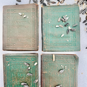 Puede incluir: Cuatro libros antiguos con cubiertas verdes y letras doradas est&aacute;n dispuestos en un cuadrado. Los t&iacute;tulos incluyen "The Phantom Rickshaw", "Speeches and Addresses", "Comtesse de St. Gera" y "Pip Passes". Semillas de girasol est&aacute;n esparcidas sobre y alrededor de los libros.