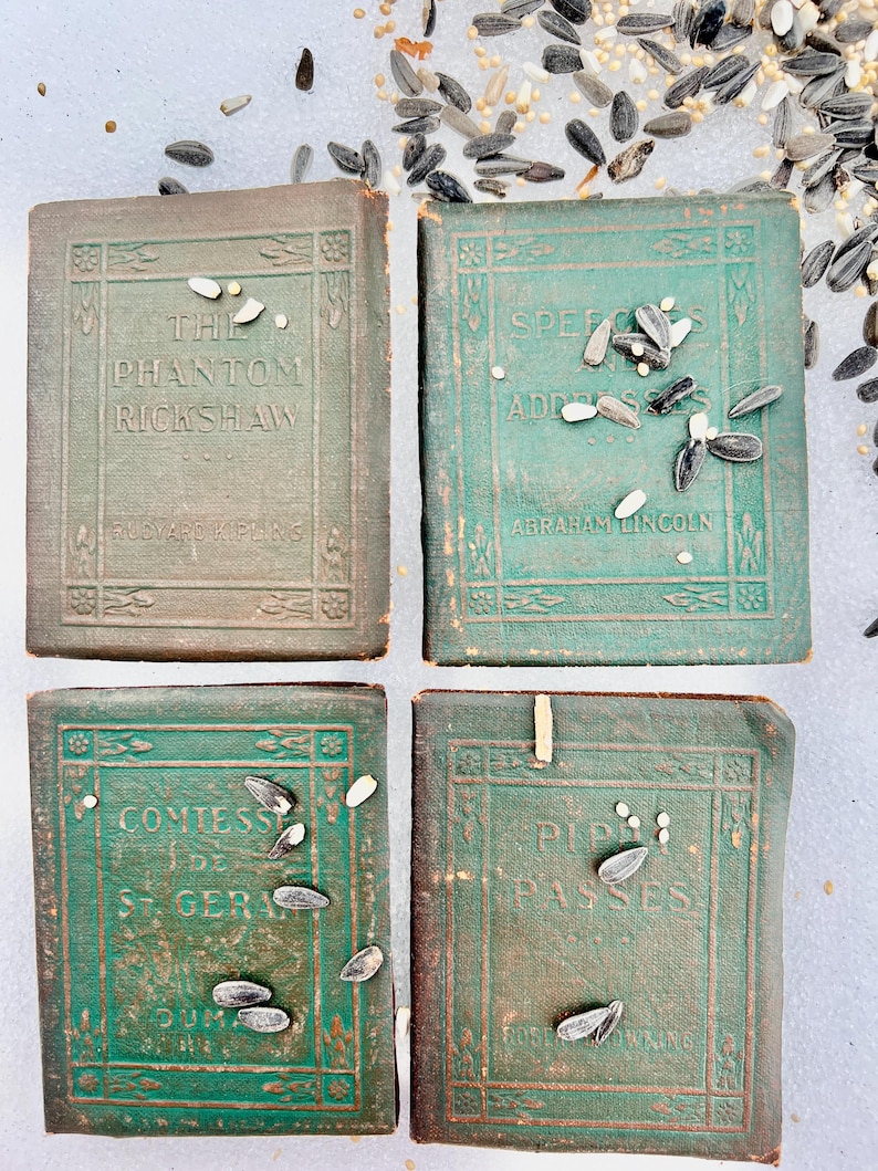 Puede incluir: Cuatro libros antiguos con cubiertas verdes y letras doradas est&aacute;n dispuestos en un cuadrado. Los t&iacute;tulos incluyen "The Phantom Rickshaw", "Speeches and Addresses", "Comtesse de St. Gera" y "Pip Passes". Semillas de girasol est&aacute;n esparcidas sobre y alrededor de los libros.