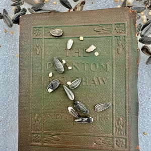 Puede incluir: Un libro verde vintage con el t&iacute;tulo "The Panton Haw" de Rudyard Kipling, parcialmente cubierto de semillas de girasol. El libro tiene una cubierta texturizada y desgastada con bordes decorativos.