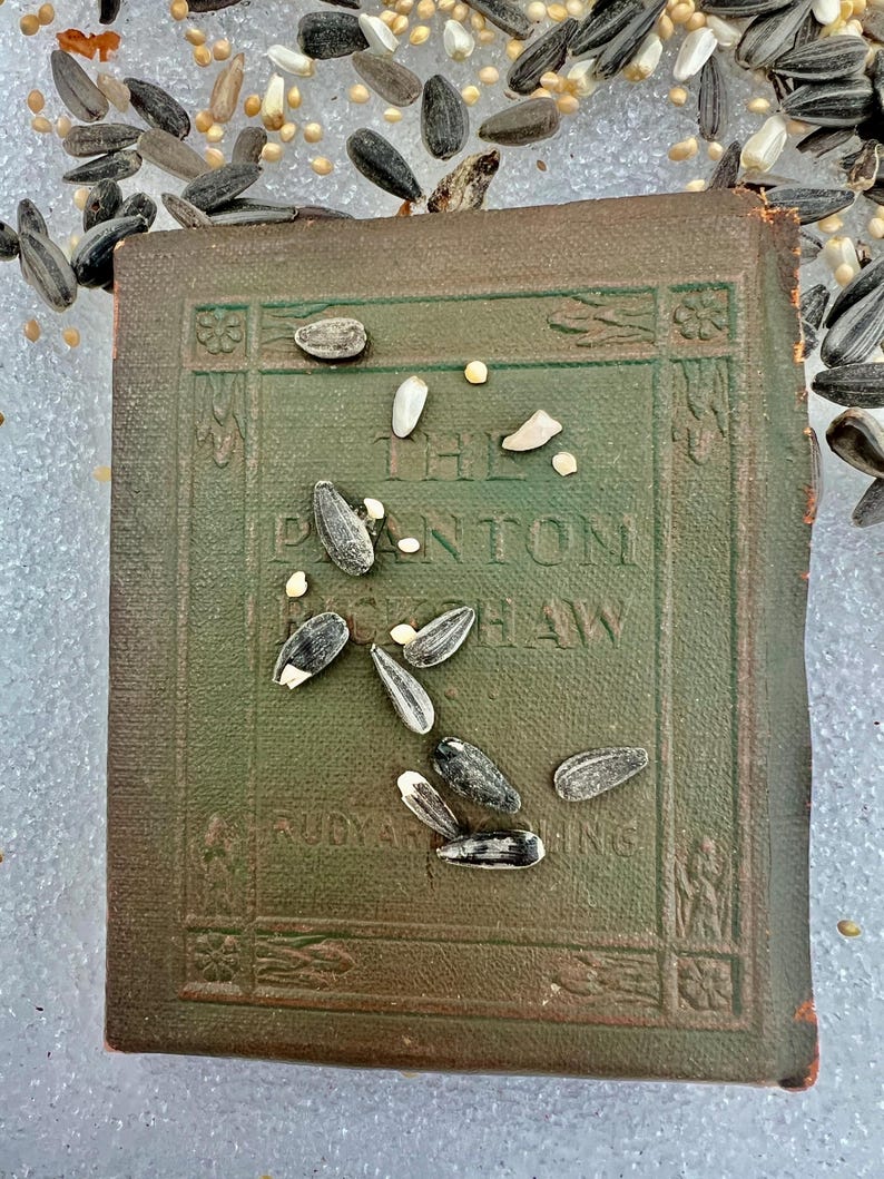 Puede incluir: Un libro verde vintage con el t&iacute;tulo "The Panton Haw" de Rudyard Kipling, parcialmente cubierto de semillas de girasol. El libro tiene una cubierta texturizada y desgastada con bordes decorativos.