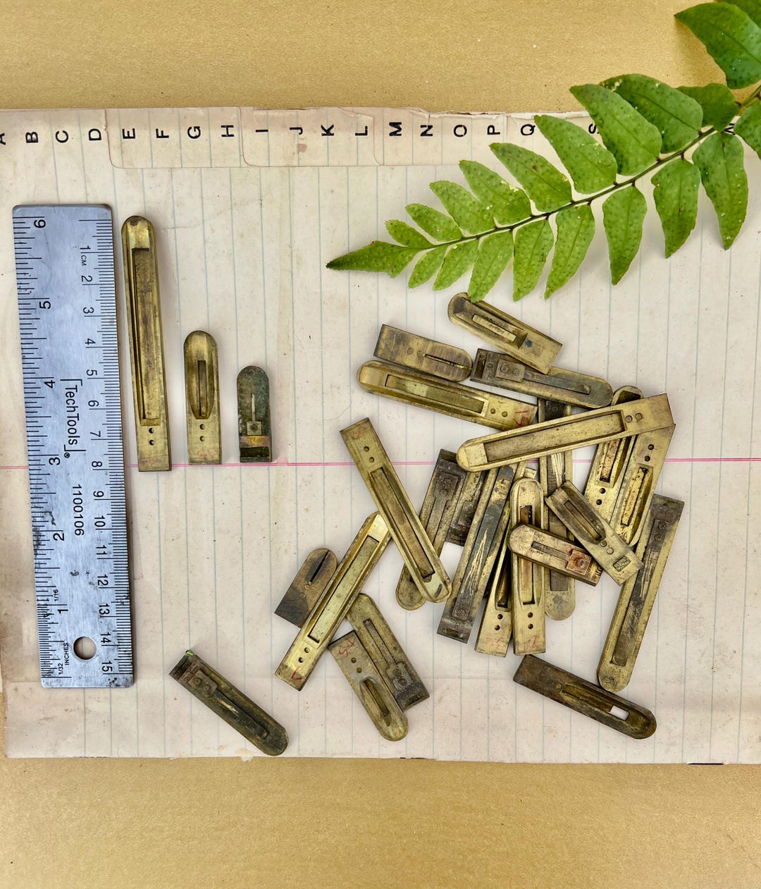 Lot of 35 Antique Brass Pump Organ Reeds, - Etsy