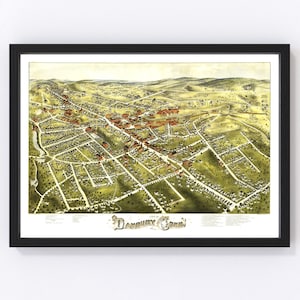 May include: An antique bird's-eye view map of Danbury, Connecticut, printed in 1884. The map shows the town's streets, buildings, and parks in a detailed and colorful illustration.