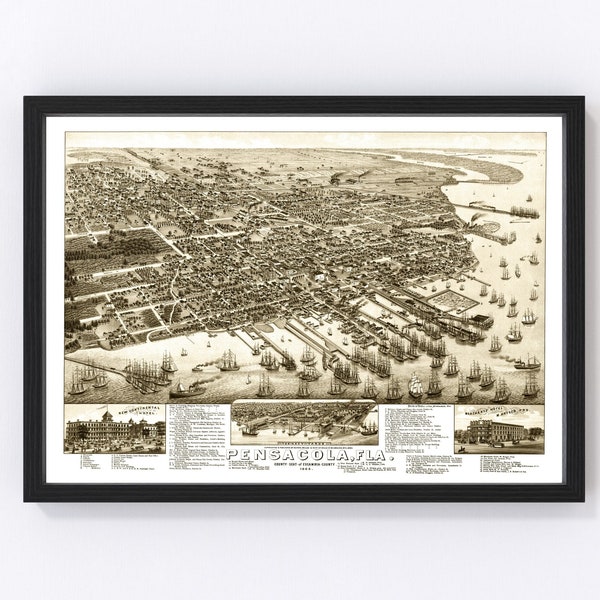 Pensacola Map 1885 - Old Map of Pensacola Florida Art Vintage Print Framed Canvas Bird's Eye View Portrait History Genealogy Farmhouse Décor