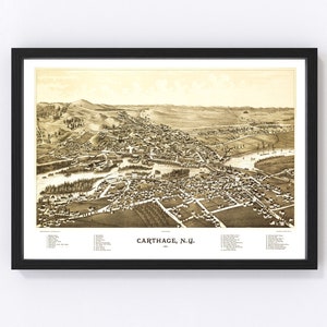 Carthage Map 1888, Vintage Carthage Map, Old Carthage New York Art, Wall Art Gift for Carthage History Lovers Retro Decor