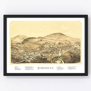 Stamford Map 1890, Vintage Stamford Map, Old Stamford New York Art, Wall Art Gift for Stamford History Lovers Retro Decor