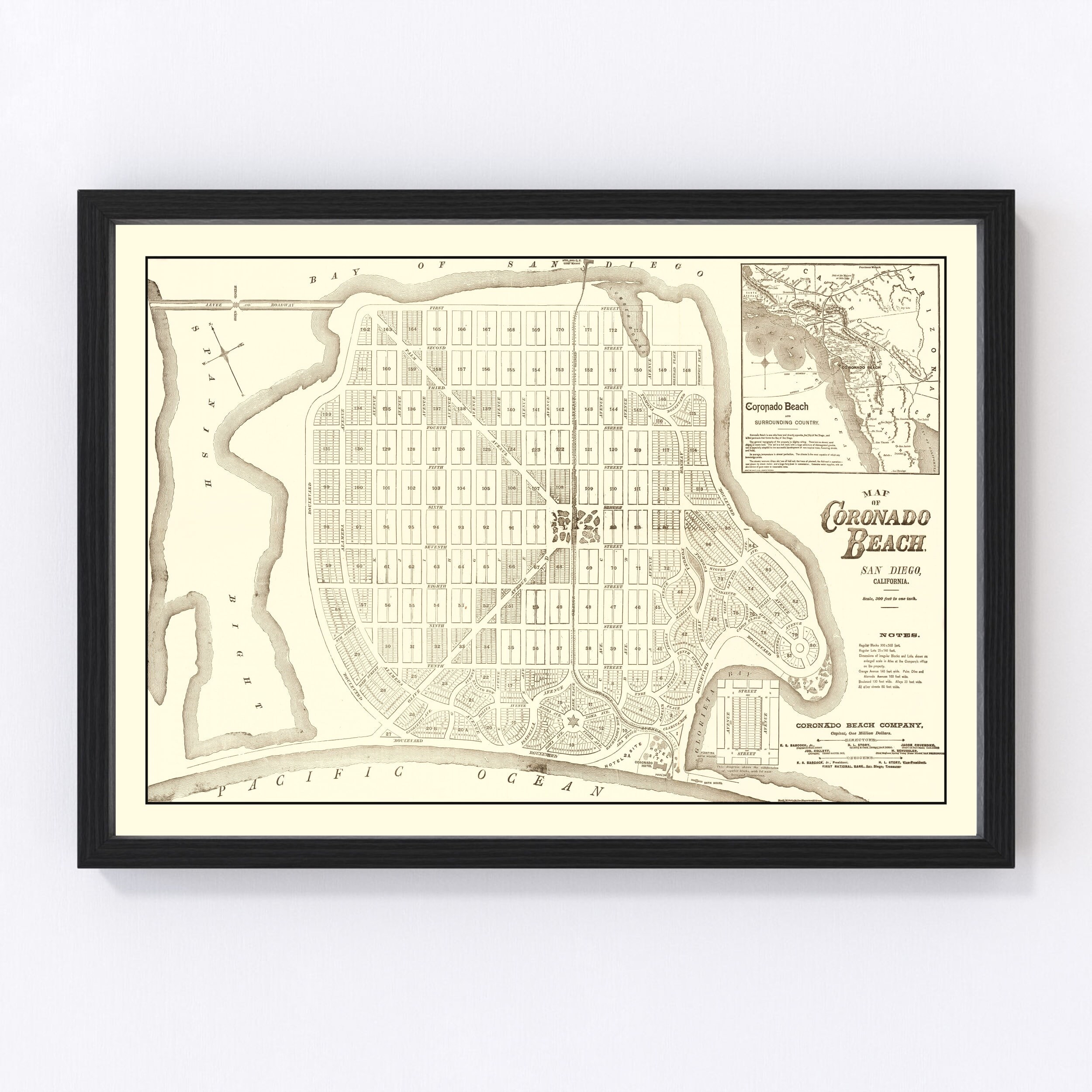 Coronado Beach Map 1887, Vintage Coronado Beach Map, Old Coronado Beach California Art, Wall Art Gift for Coronado Beach History Lovers Retr
