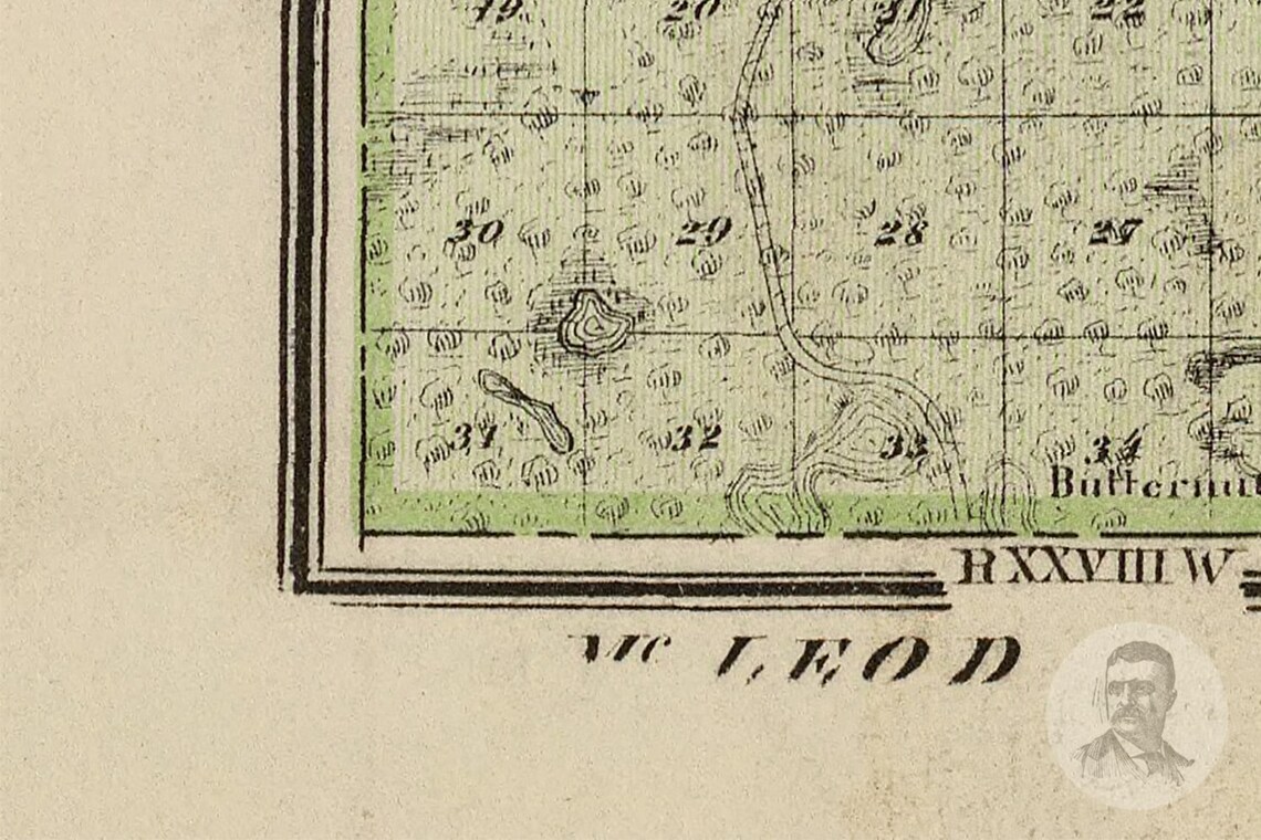 Vintage Wright County MN Map 1874 Old Minnesota Map Etsy