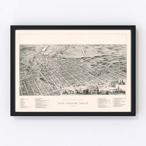Ann Arbor Map 1890, Vintage Ann Arbor Map, Old Ann Arbor Michigan Art, Wall Art Gift for Ann Arbor History Lovers Retro Decor