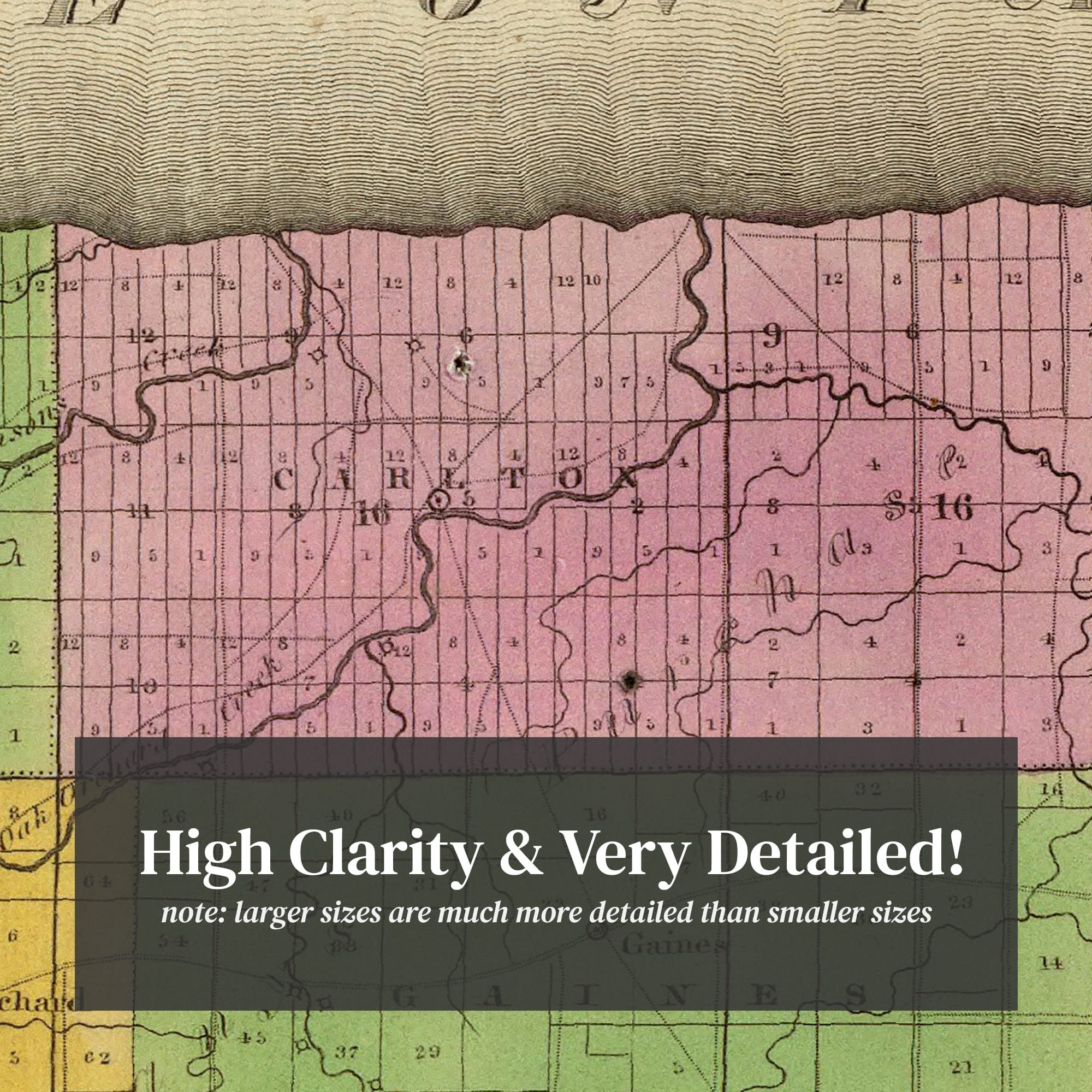 Orleans County NY Map 1829 Old Map of Albion New York Art Etsy