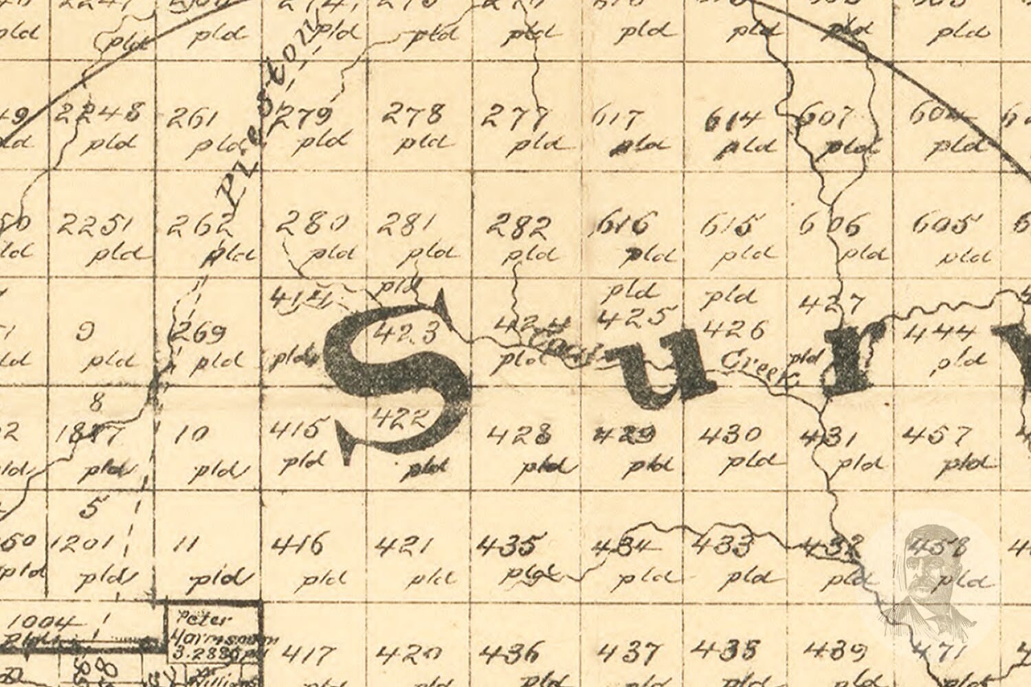 Vintage Young County Map 1879 Young County TX Land Ownership Etsy