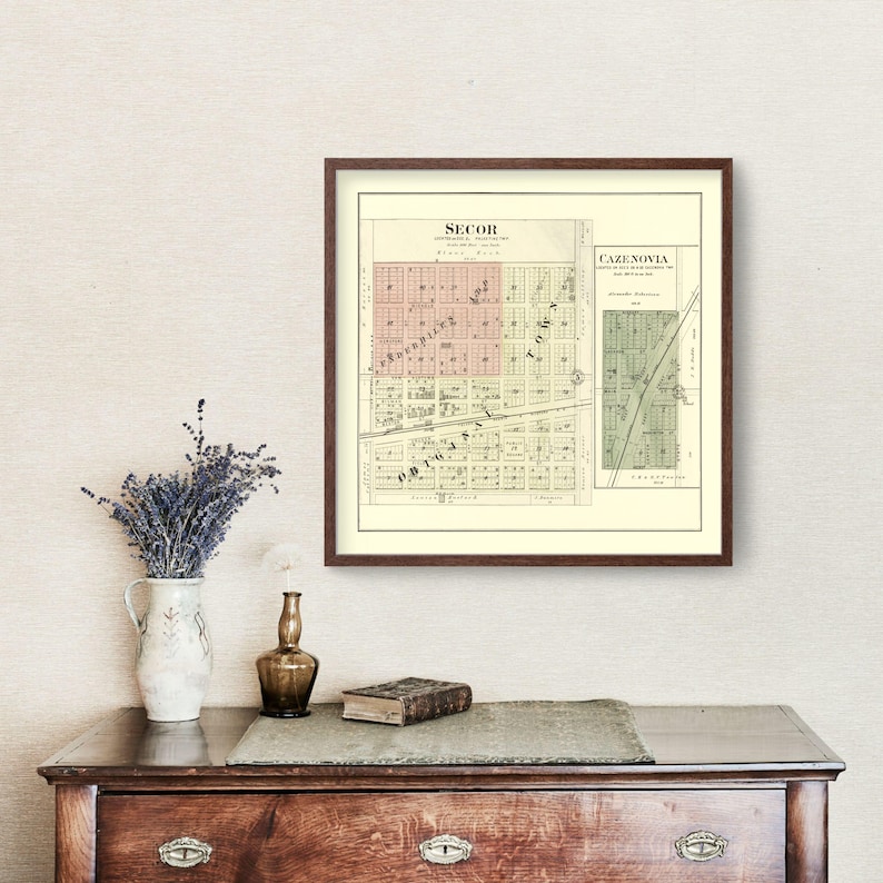 Secor Map 1893 Old Map of Secor Illinois Art Vintage Print Framed