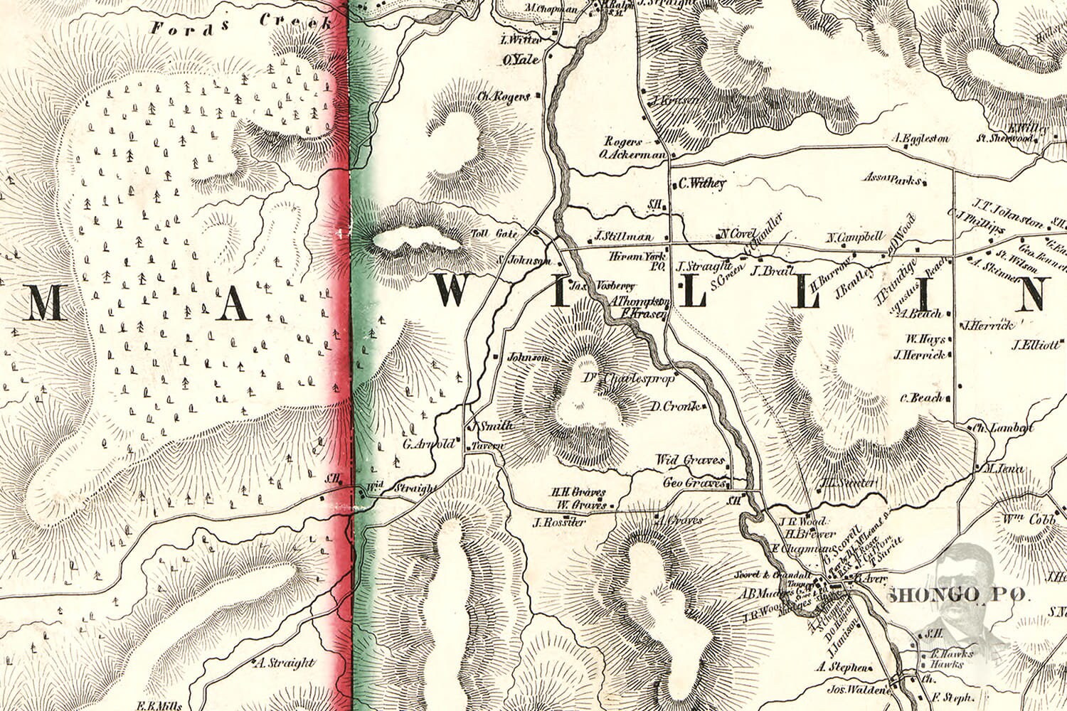 Vintage Allegany County Map 1856 Old Map of Allegany County Etsy