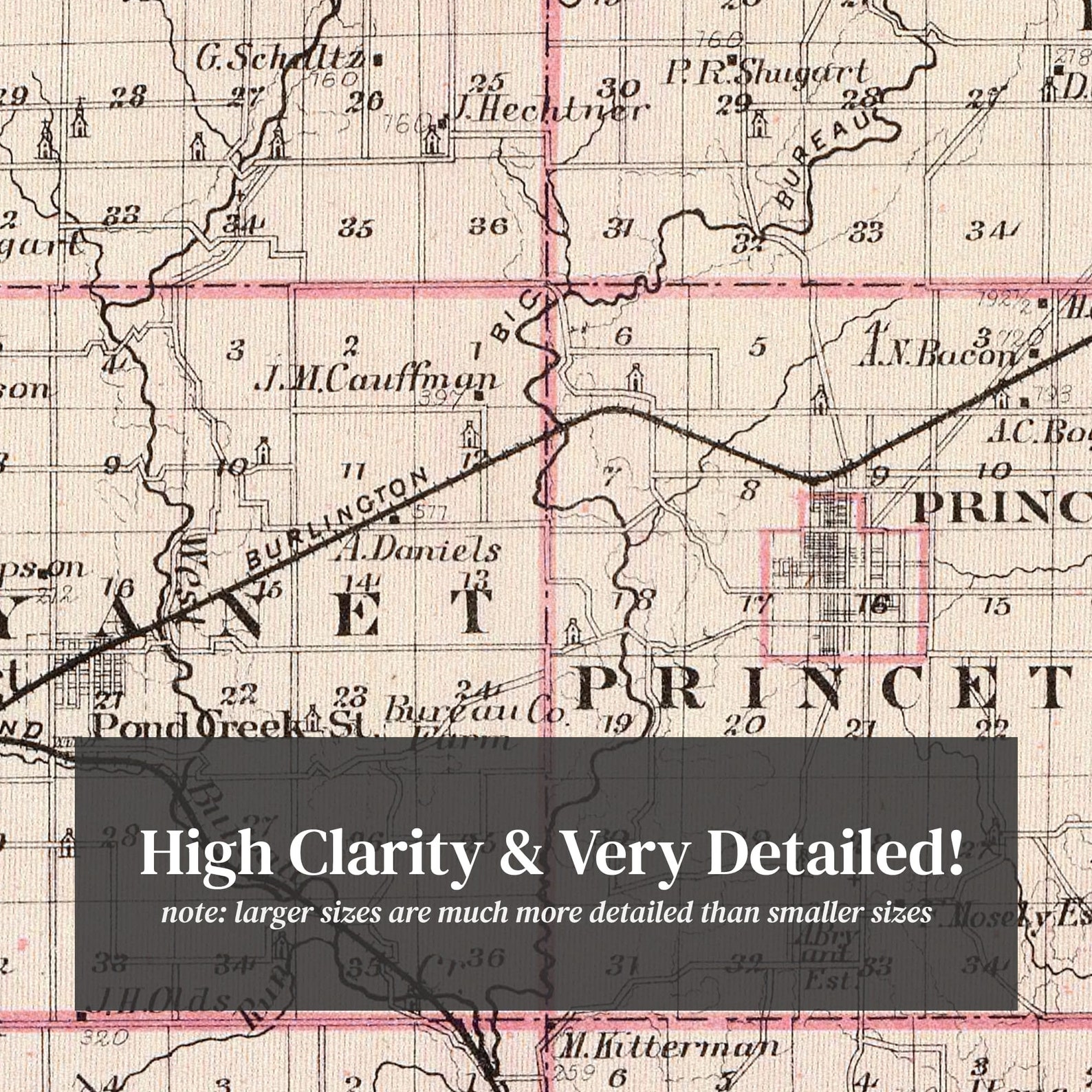 Bureau County IL Map 1876 Old Map of Princeton Illinois Art Etsy
