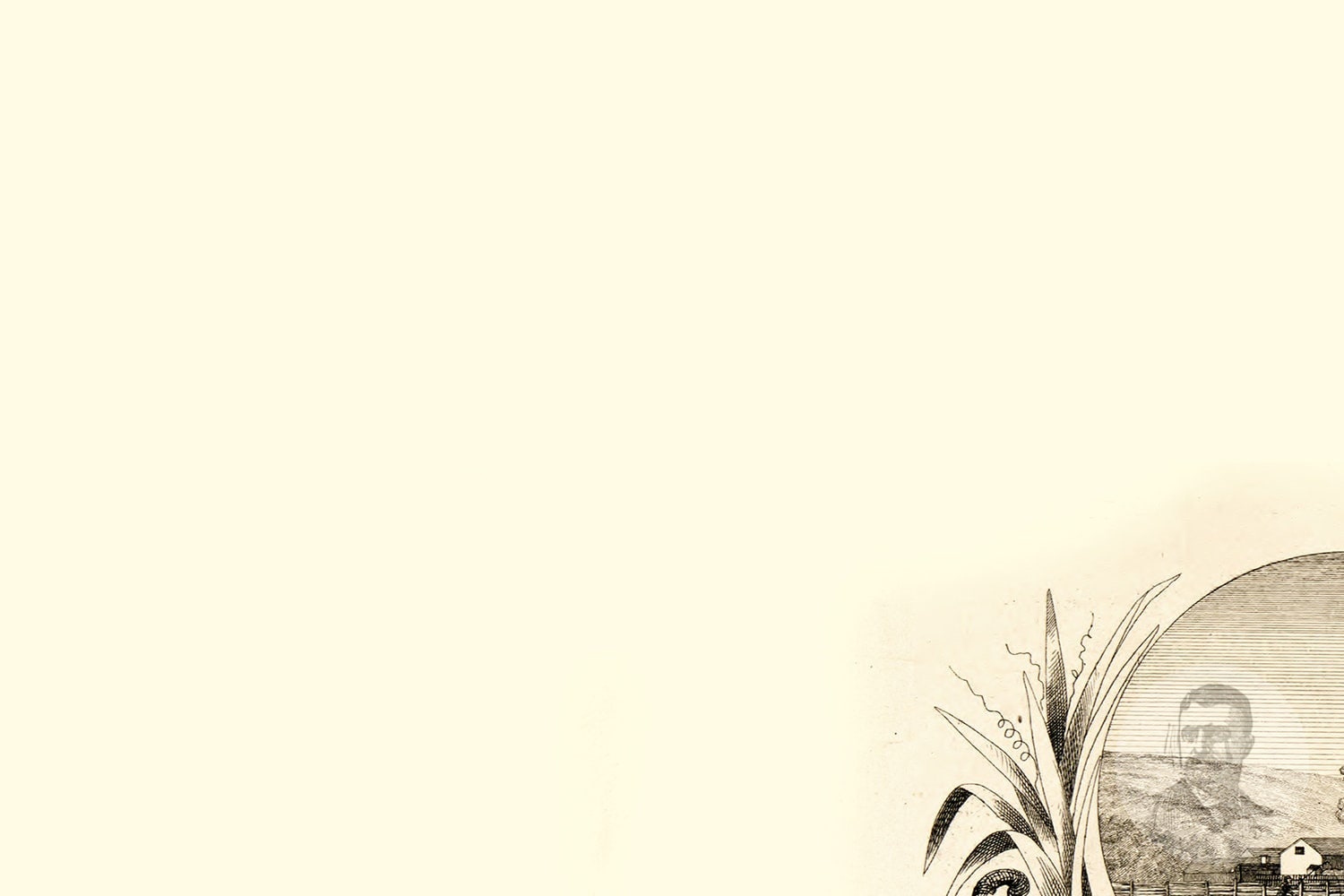 Vintage Rensselaer County Map 1854 Rensselaer County NY Land Etsy