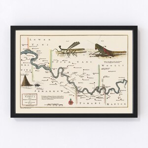 May include: An antique map of the Gambia River in Africa, featuring a detailed illustration of the river's course and surrounding areas. The map is decorated with two insects, a dragonfly and a grasshopper, and includes the text "A Map of the River GAMBIA, Engraved by I. Vanderkeckhoven, Capt. John Leach, 1724."