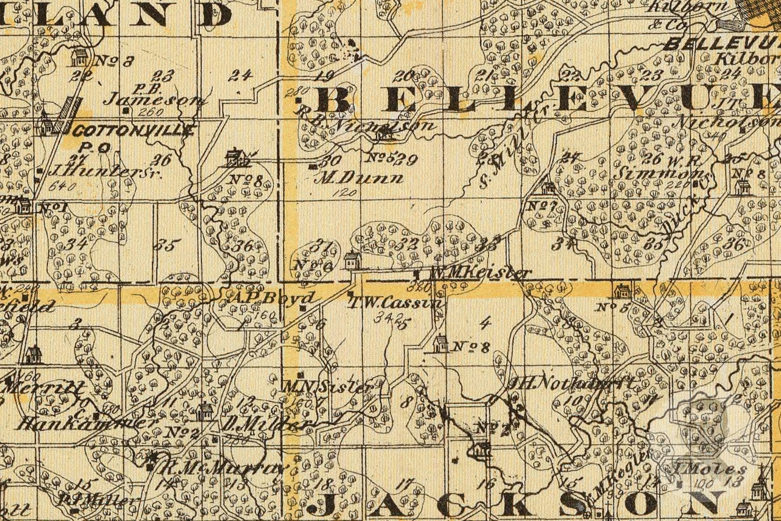 Vintage Jackson County IA Map 1875 Old Iowa Map Historical Etsy