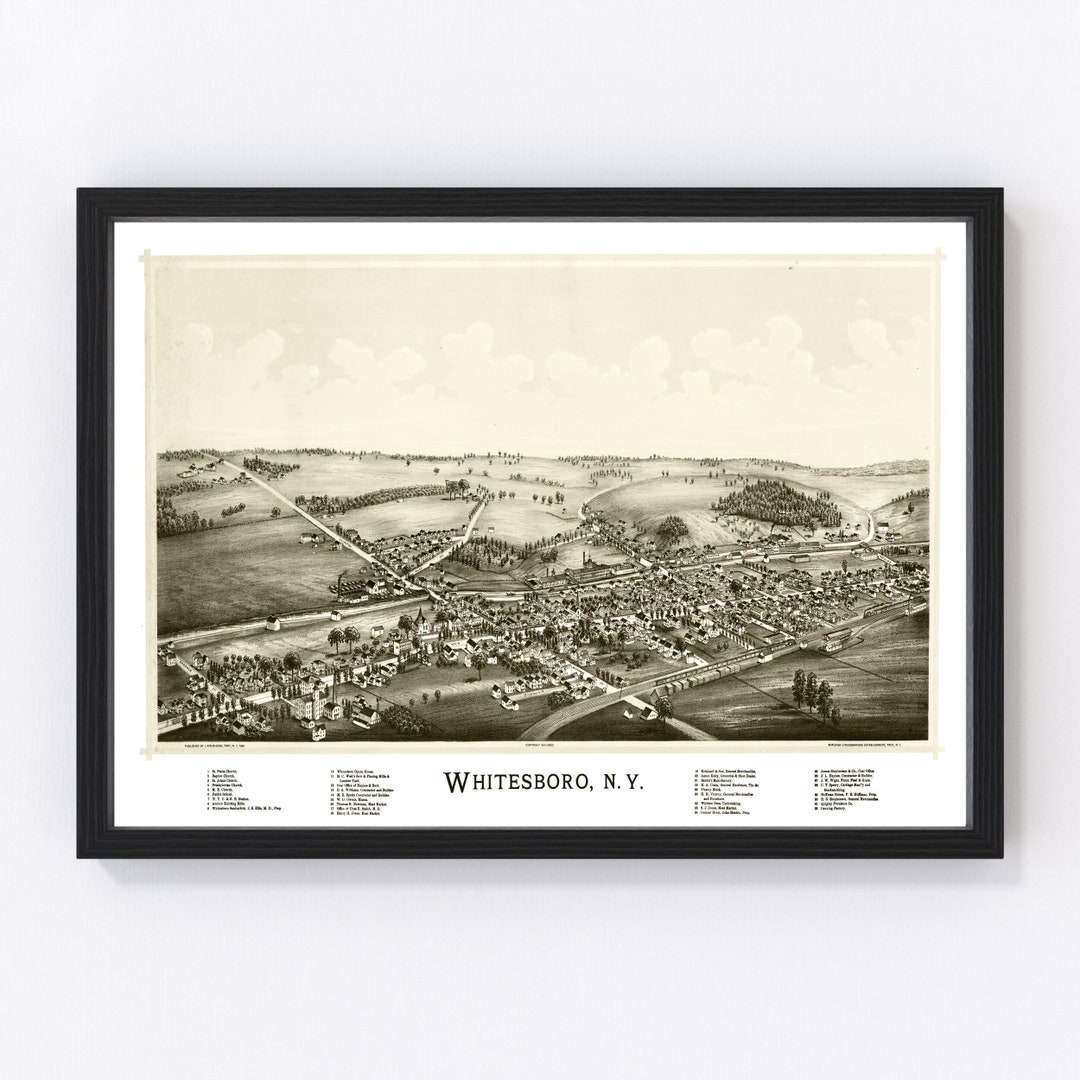 Whitesboro Map 1891 Old Map of Whitesboro New York Art Vintage Print