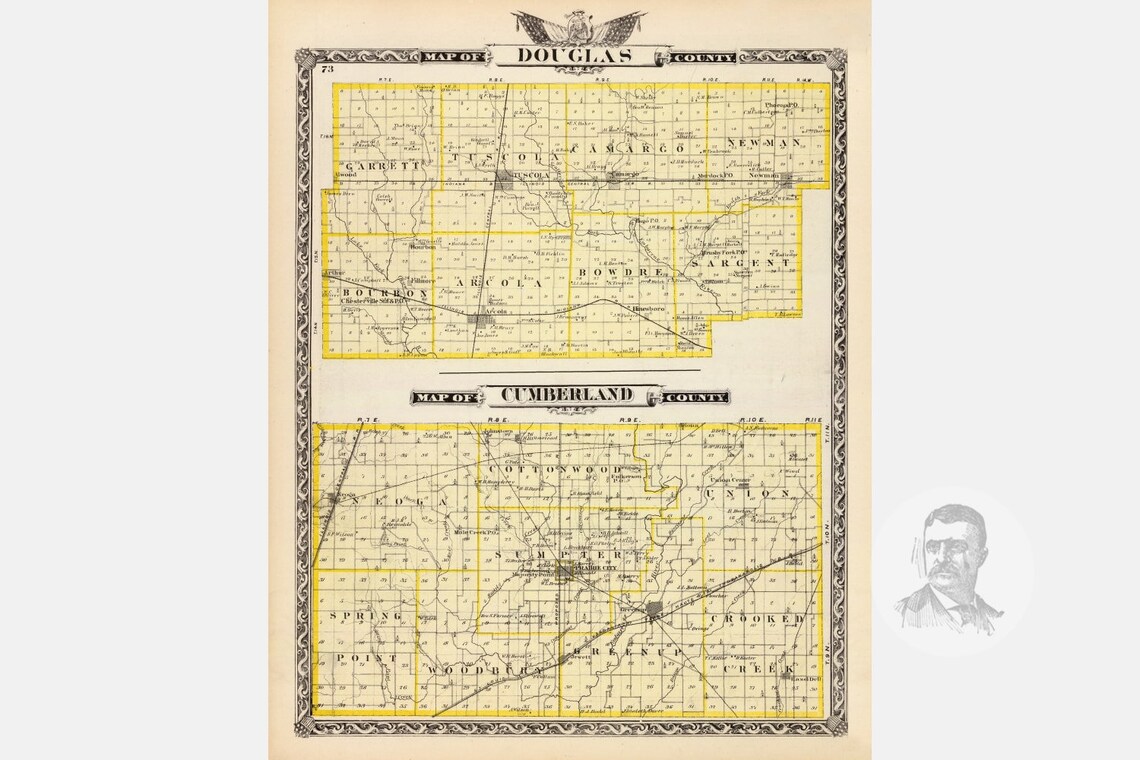 Vintage Douglas County IL Map 1876 Old Illinois Map Etsy