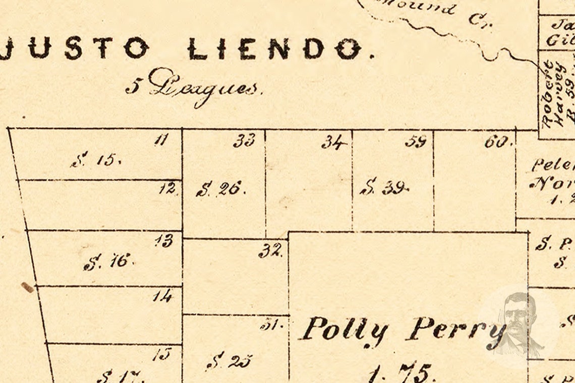 Vintage Waller County Map 1879 Waller County TX Land Etsy