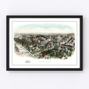 Princeton University Map 1906, Vintage Princeton University Map, Old Princeton University Art, Wall Art Gift for Princeton University Histor