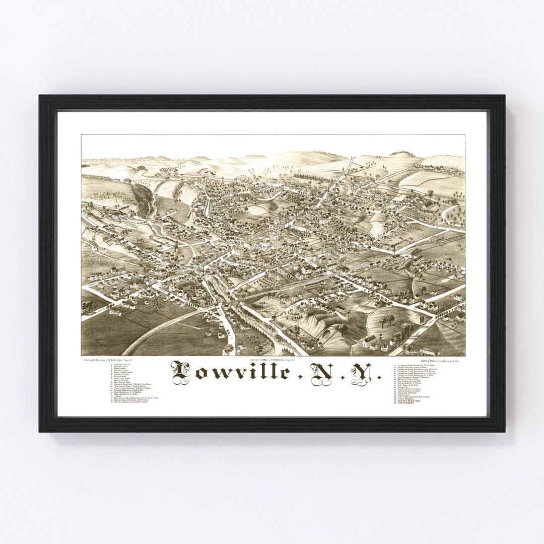 Lowville Map 1885 Old Map of Lowville New York Art Vintage Print Framed