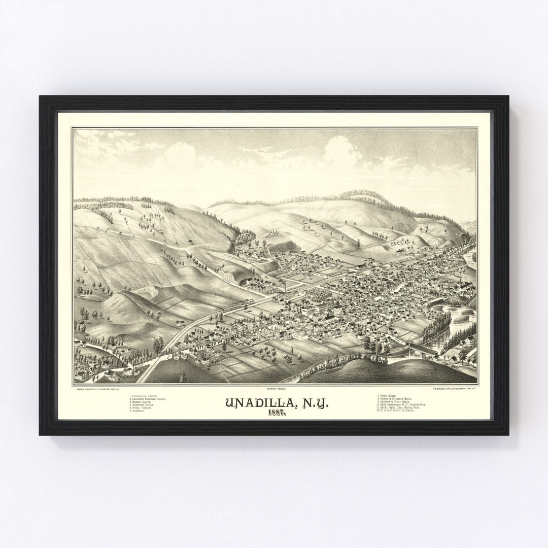 Buy Unadilla Map 1887 Old Map of Unadilla New York Art Vintage Print
