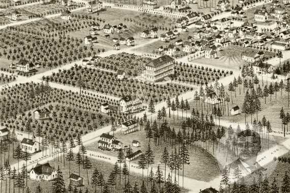 Bird/'s Eye View 1884 De Land Florida Vintage Style City Map 24x36