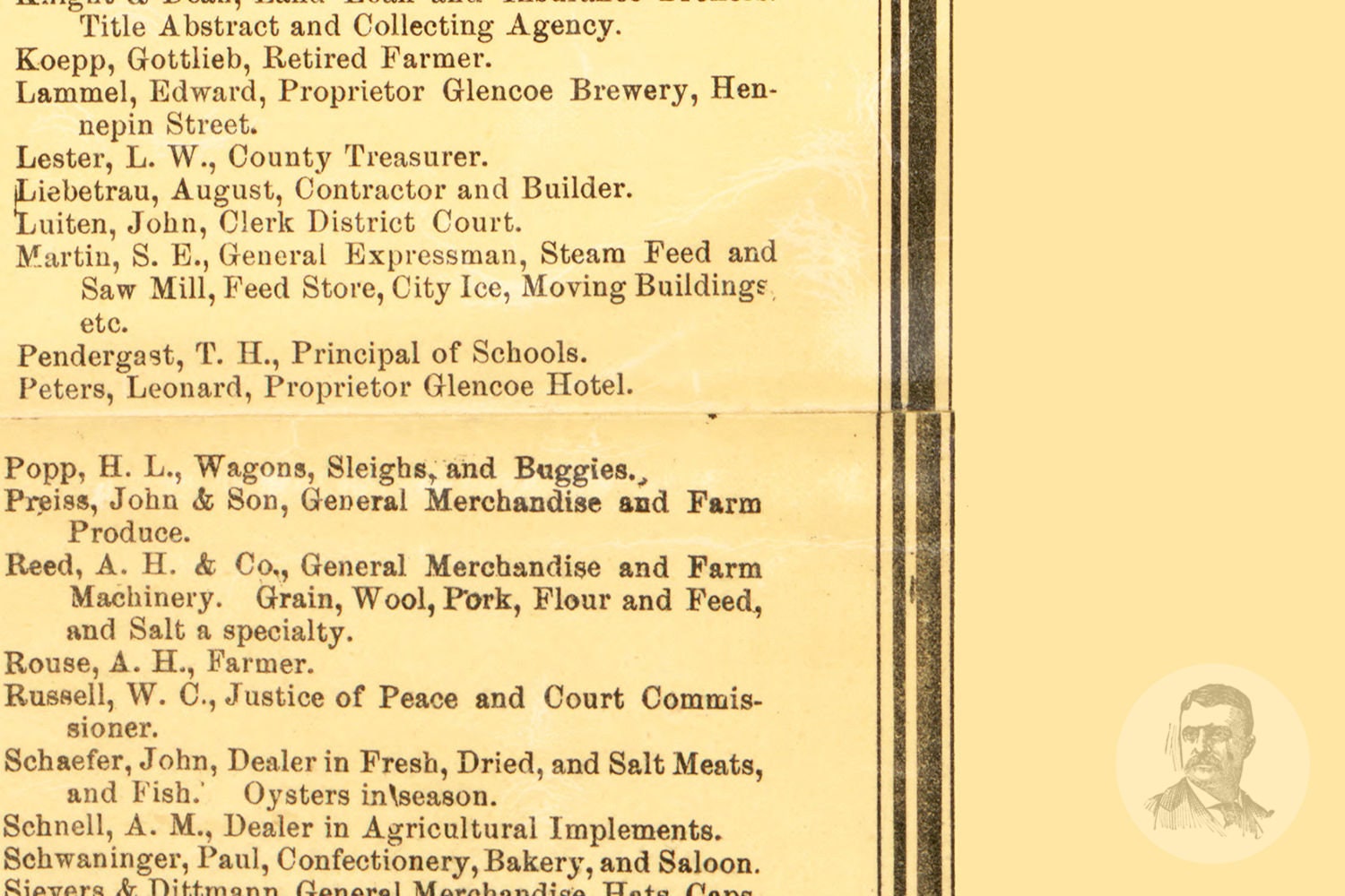 Vintage McLeod County Map 1880 Old Map of McLeod County Etsy